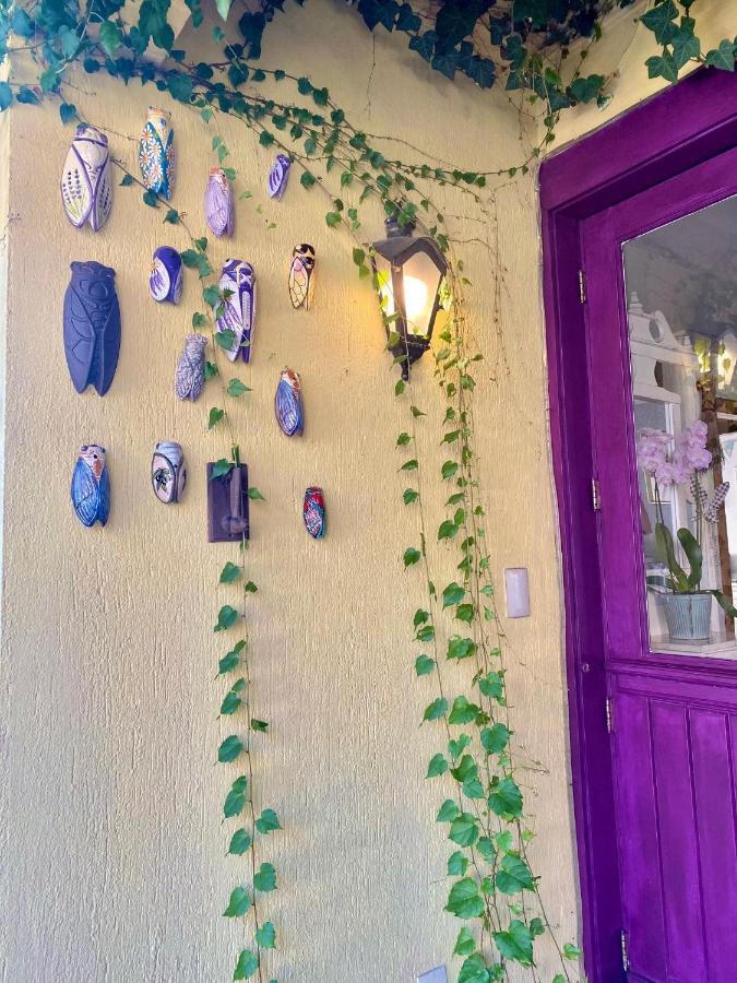 Petit Hotel Provence غرامادو المظهر الخارجي الصورة